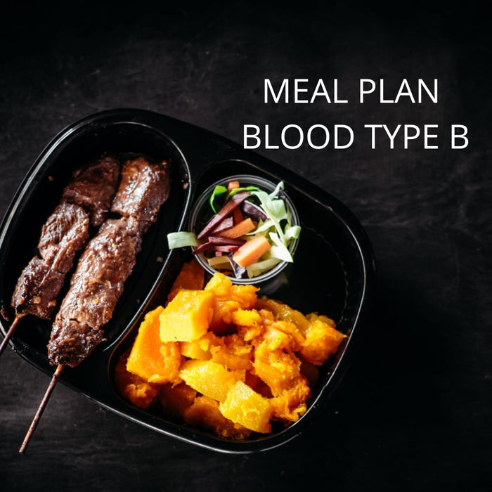 Meal Plan Blood Type B [DIGITAL FILE]
